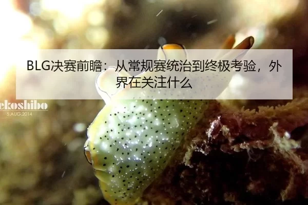 BLG决赛前瞻：从常规赛统治到终极考验，外界在关注什么